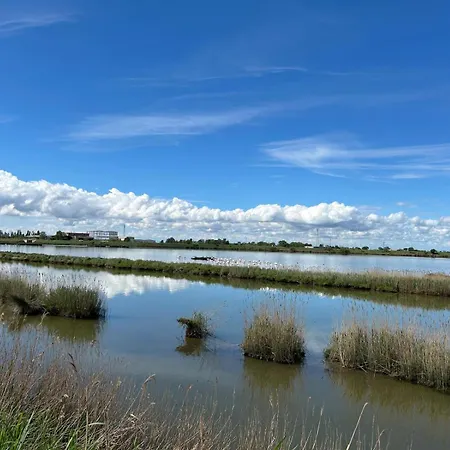 Casa Pomposa * Lido di Pomposa